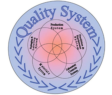 Services
